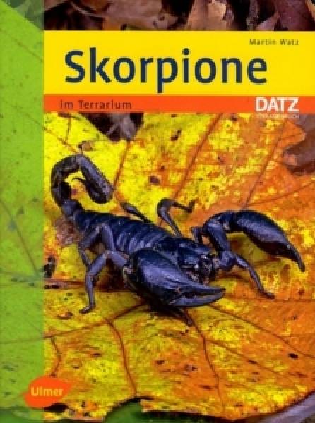 Skorpione im Terrarium